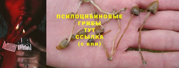 СК Алексин