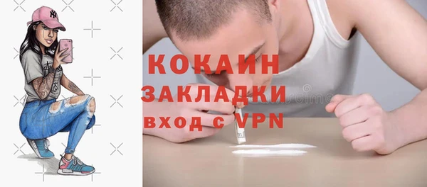 СК Алексин
