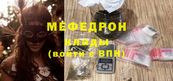 СК Алексин