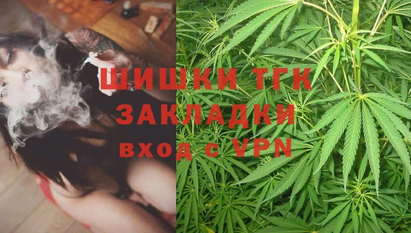 СК Алексин